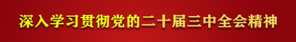 深入学习贯彻党的二十届三中全会精神